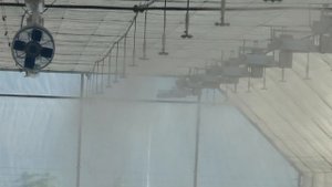 Работа система туманообразования