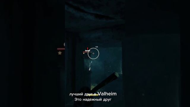 Valheim и друг дрверь #valheim