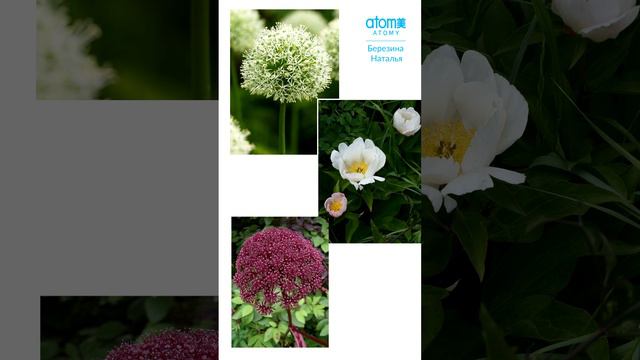 Бери ХемоХИМа не сколько можешь, а сколько хочешь: обзаведись всем, что нужно.