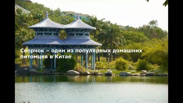 ?? Китай. Остров Хайнань