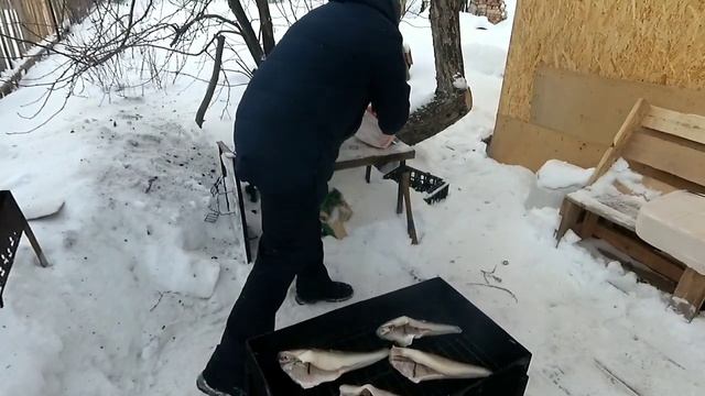 КОПЧЕНИЕ СУДАКА;в коптильне горячего копчения, ДОМАШНИЙ СПОСОБ
#натур продукт#ольха#отдых на даче смотреть онлайн