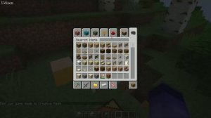 Minecraft How to get WAYFINDER ARMOR TRIM SMITHING TEMPLATE (2023) (2 WAYS)