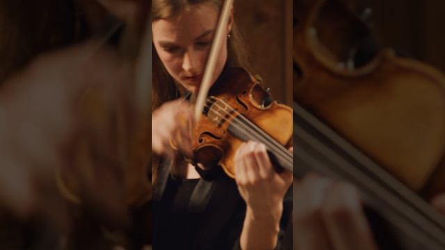 An incredible harmony between piano, violin and cello!