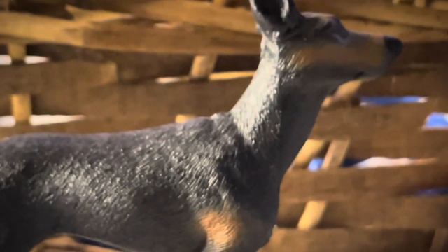 НОВЫЕ МОДЕЛЬКИ / РАСПАКОВКА смотреть онлайн