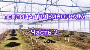 ПЛЕНОЧНАЯ ТЕПЛИЦА ДЛЯ ВИНОГРАДА.ЧАСТЬ 2