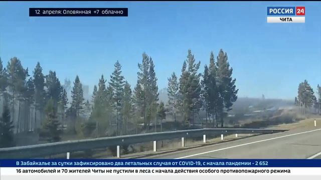 В Чернышевском районе ликвидирован лесной пожар