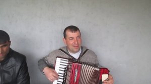 Каро Шамшадин 26