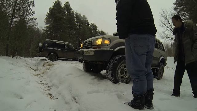 Дикие кошки в Новогоднем лесу 2 (С камеры Gopro Hero 3) смотреть онлайн