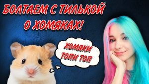 БОЛТАЕМ С ТИЛЬКОЙ О ХОМЯКАХ! 🐹