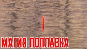 Рыбалка 2021. Магия поплавка! Ловля плотвы (сороги) на поплавочную удочку весной.