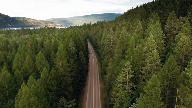 [THAT'S ALL YOU NEED] Deep Relaxing Music & 4K Mother Nature | Fall asleep fast / SPA / Meditation смотреть онлайн