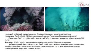 Происхождение жизни / Марков А