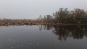 Второй день нового года-день проветривания мозгов