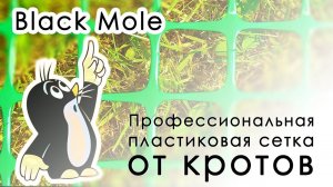 Профессиональная пластиковая сетка от кротов Black Mole