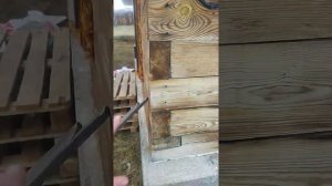 Везувий ПК 01 с теплообменником и котел куппер 16 про 2.0 и так себе обзор