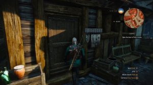 The Witcher 3: Wild Hunt glitch