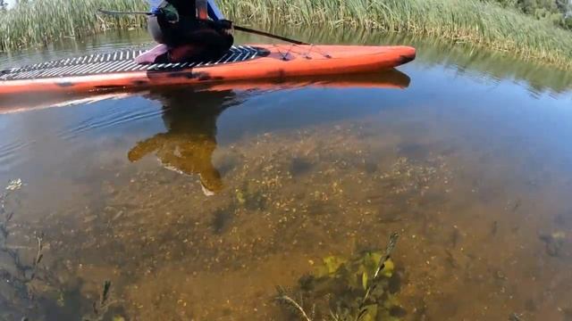 Прогулка на сапе в ветреный день смотреть онлайн