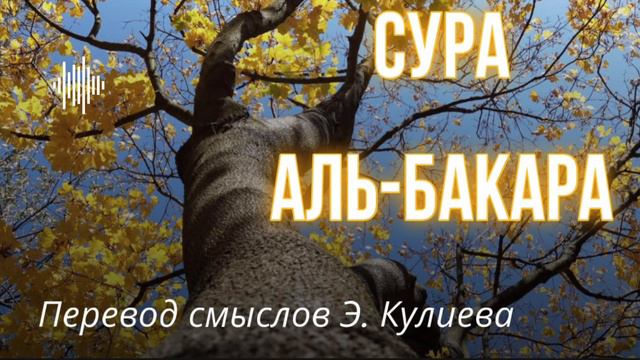 Сура Аль- Бакара| Смысловой перевод на русском Э.Кулиева