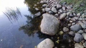 Прогулка на берег Енисея