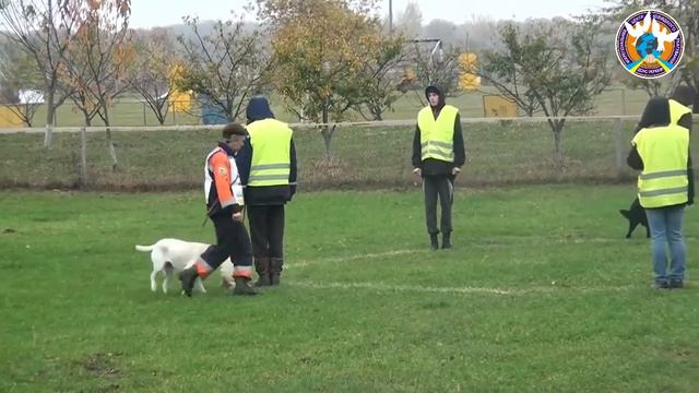 Кінологи - рятувальники сіли за парти смотреть онлайн