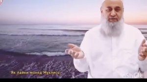 ХОЧИ МИРЗО  ДУНЁ  ,, 3 февраля 2024