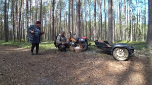 КОГДА ТО МАТЬ МЕНЯ ВОДИЛА, ТЕПЕРЬ Я ЕЁ! СКАЗОЧНОЕ УТРО В КРАСИВОМ ЛЕСУ \ ГРИБНОЕ ЦАРСТВО, СБОР 2024!