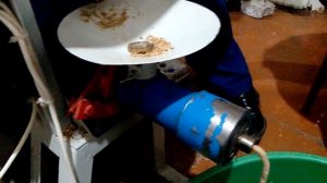 Экструдирование зерна для сомовьего корма