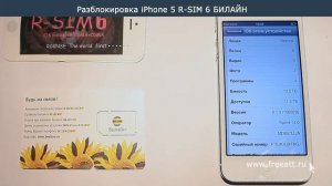 Разблокировка iPhone 5 - Gevey r-sim 6 - билайн