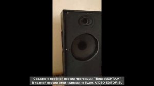 Акустическая система на 4А-32 «Ломо»
