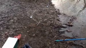 Рыбалка на Томи 2022 сорога Кемерово