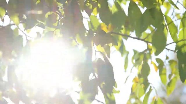 вечная жизнь - индийская притча