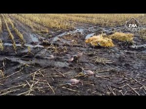 Чучела Duck Mania "ALFA" гуменник и Duck Mania Elite с роботом, лежаки Duck Mania U.S.S