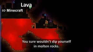 Terraria VS Minecraft: Which has more illogical, confusing oddities?