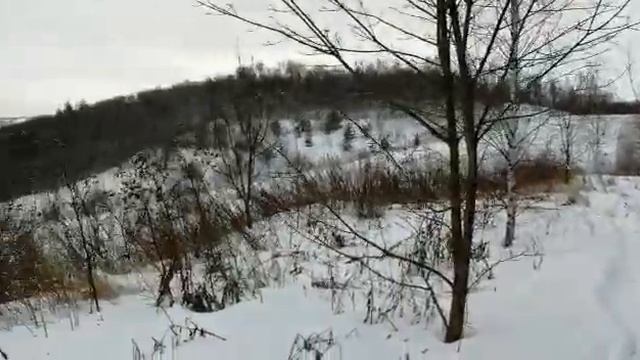 Snowbike. Honda crf450r. Snowrider 129. Учусь катать. р. Ока. смотреть онлайн