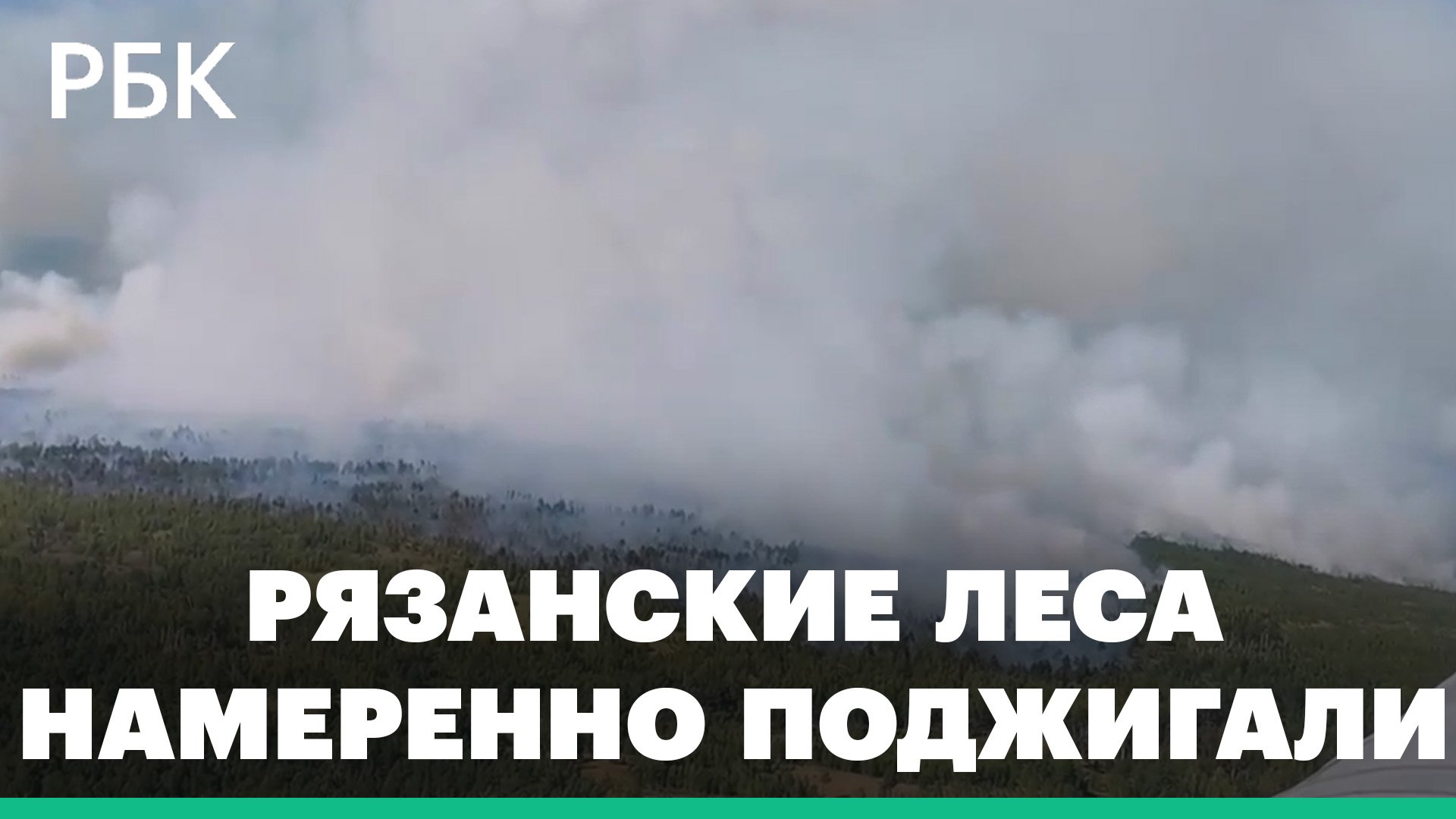 «Видим диверсионные моменты». Глава МЧС Куренков сообщил о поджогах рязанских лесов