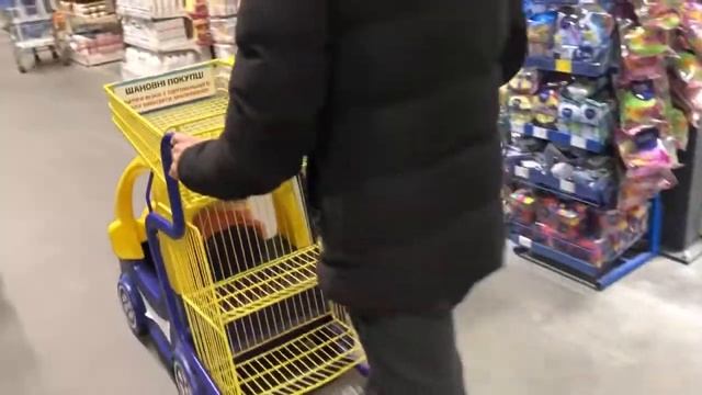 Катаемся по Киеву. Карантин. Николь делает ремонт смотреть онлайн