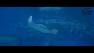 Любовь — это панацея 1 сезон 33 серия