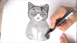 How to Draw a Cat Easy ?