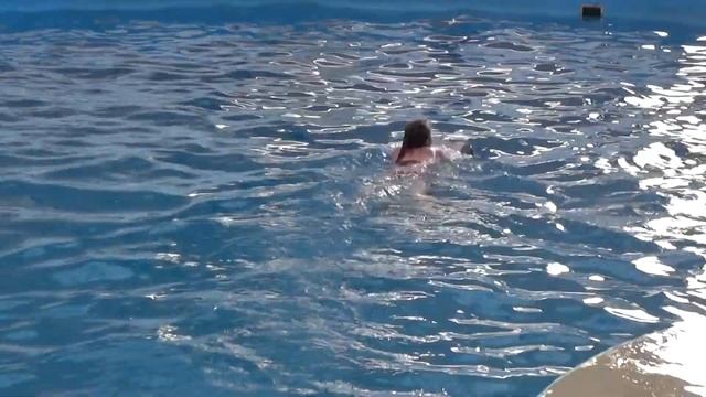 День рождения с дельфинами. Обнимашки / Hugs with dolphins смотреть онлайн