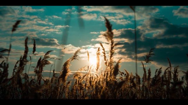 Аудиокнига: Шейн Маккензи "Настоящая любовь". Читает Владимир Князев. Ужасы, хоррор смотреть онлайн