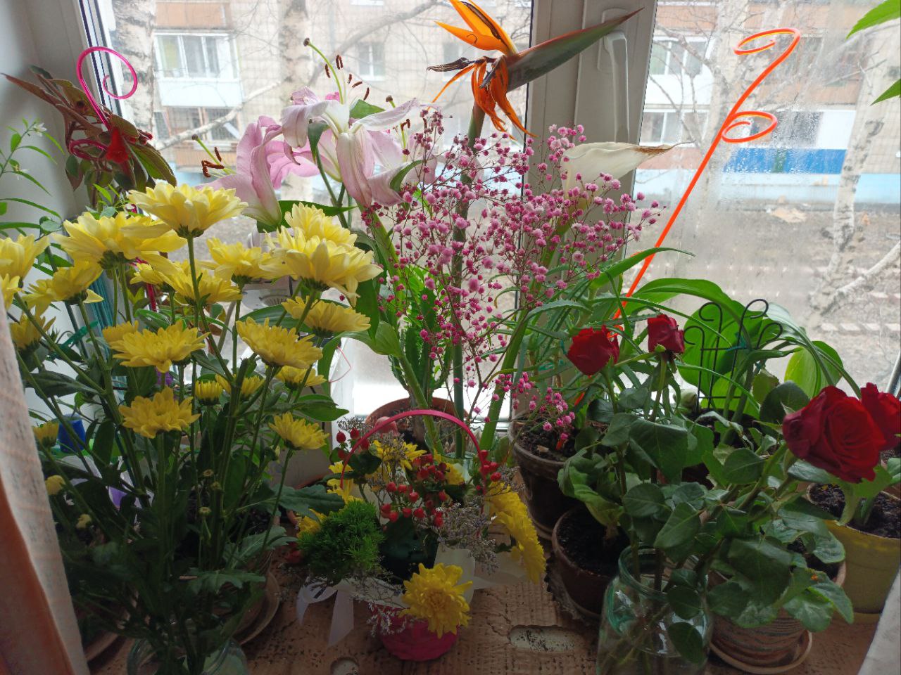 Влог № 9 (день рождение,цветы,мангал,шашлык) смотреть онлайн