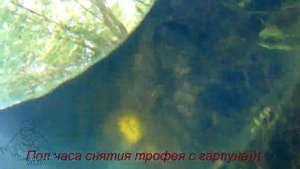 Подводная охота Сезон 2019.Воронежская область..mp4