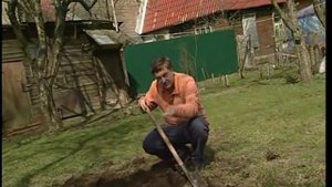 Как поднять целину на даче