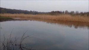 Село Капустинцы (Украина, Черниговская область, Прилукский район)