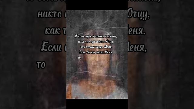 Евангелие в цитатах🕊️Отдыхайте с пользой для души🤍