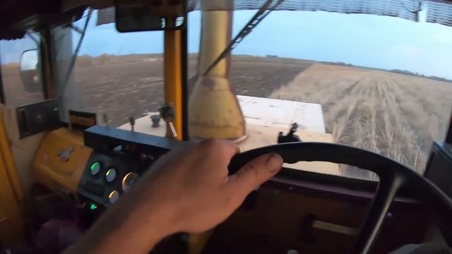 Трактор Кировец. Дискую поля после подсолнечника. смотреть онлайн