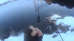 Фидерный монтаж с бисером