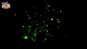 Фейерверк ОТС 5020 Волшебный город (0,8" х 49)