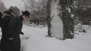 LIPA SCHMELTZER - Searching For Moshe Yossi