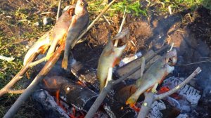 Рыба на Костре!!!Окунь по Якутски!!!